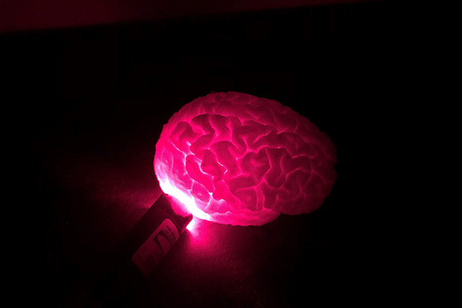 Light travels through tissue