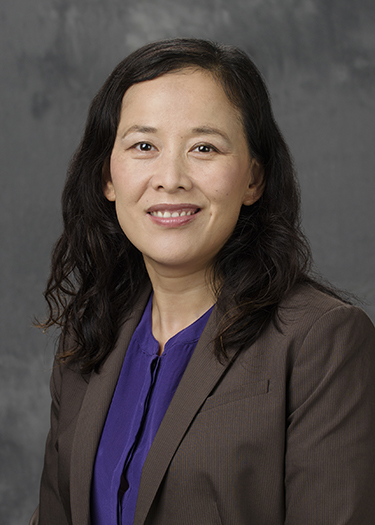 haiyan wang